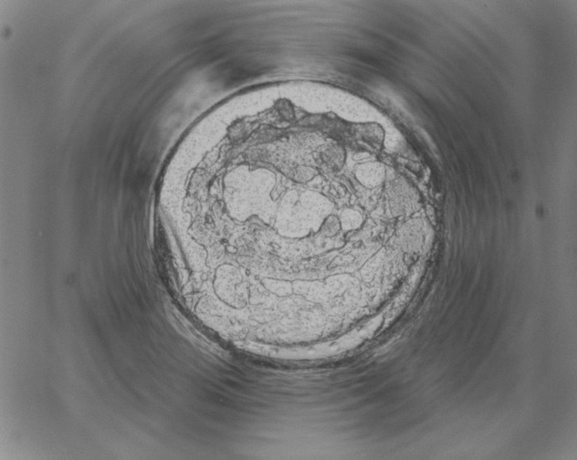 X0000066121276200604071903