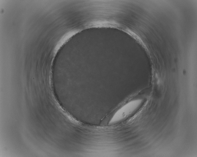 X0000066121277200604071903