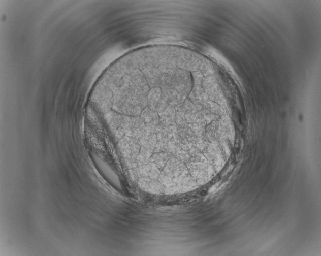 X0000066121284200604071903