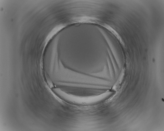 X0000066121285200604071903