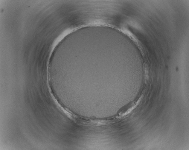 X0000066121286200604071903