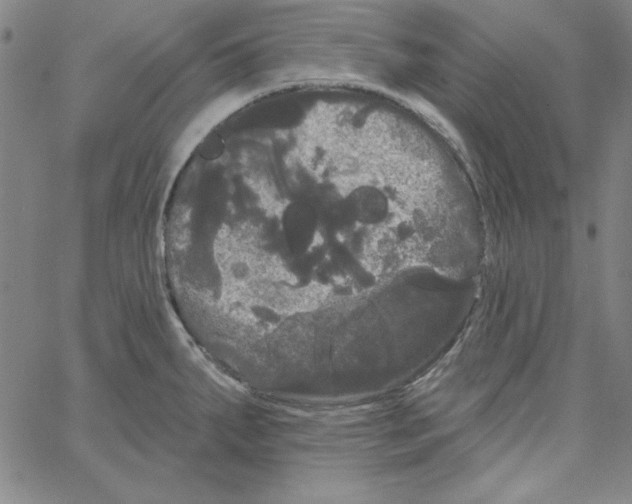 X0000066121287200604071903