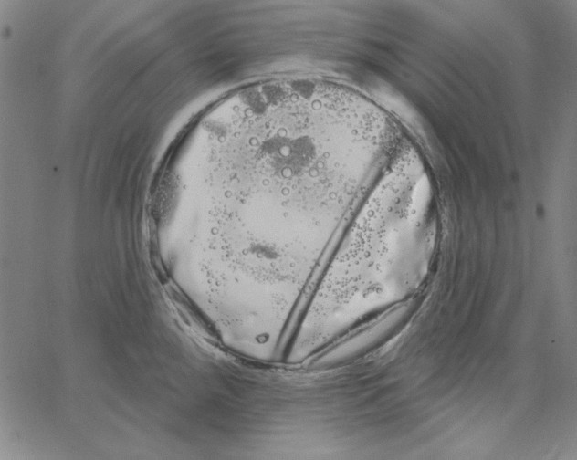 X0000066121288200604071903