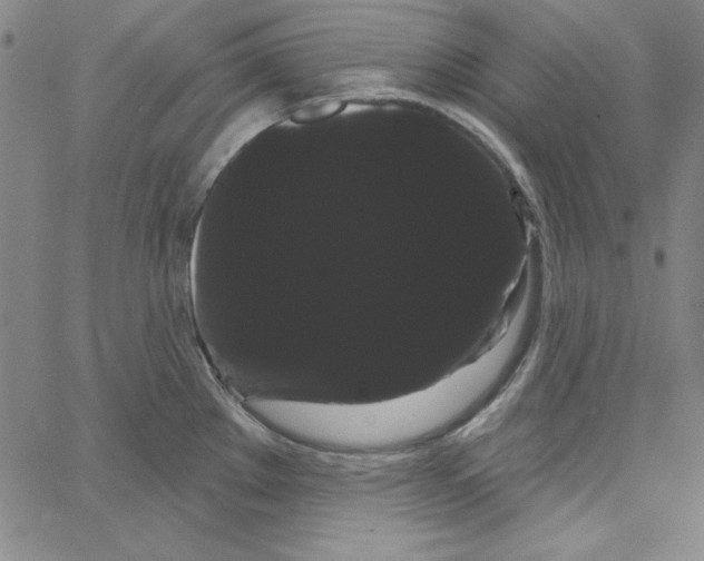 X0000066121289200604071903