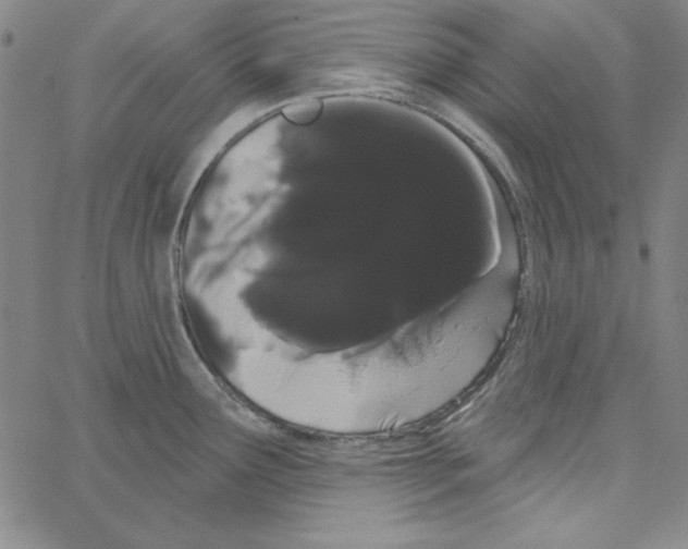 X0000066121291200604071903