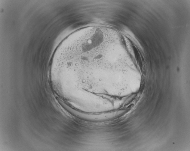 X0000066121292200604071903