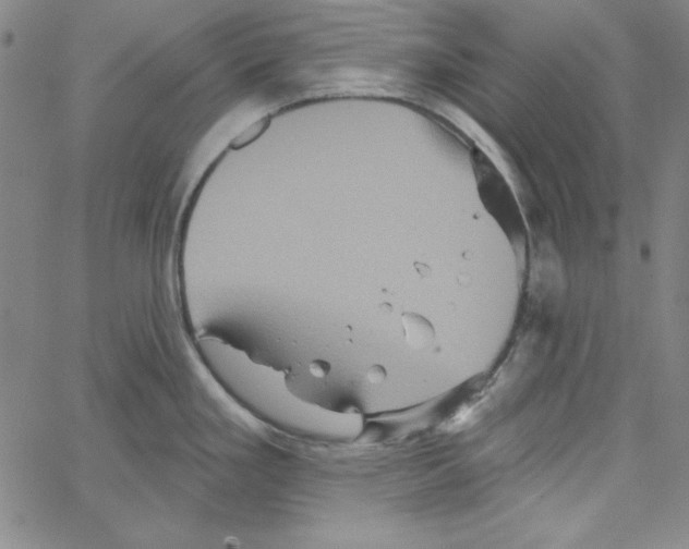 X0000066121293200604071903