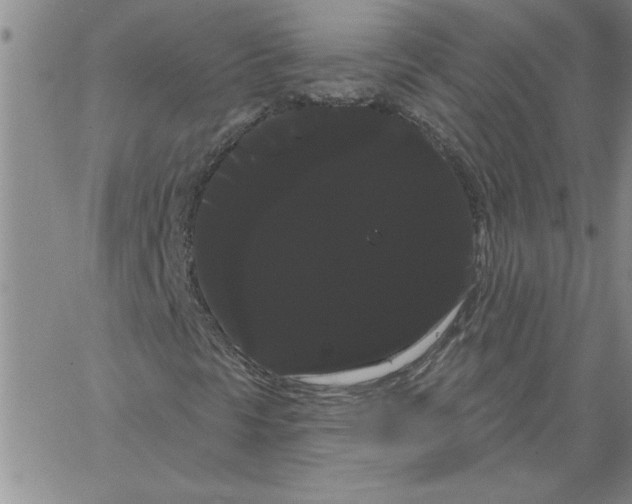 X0000066121297200604071902