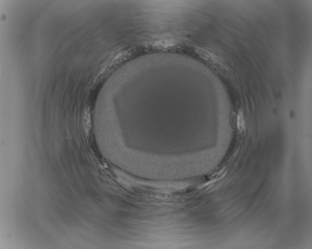 X0000066121299200604071902