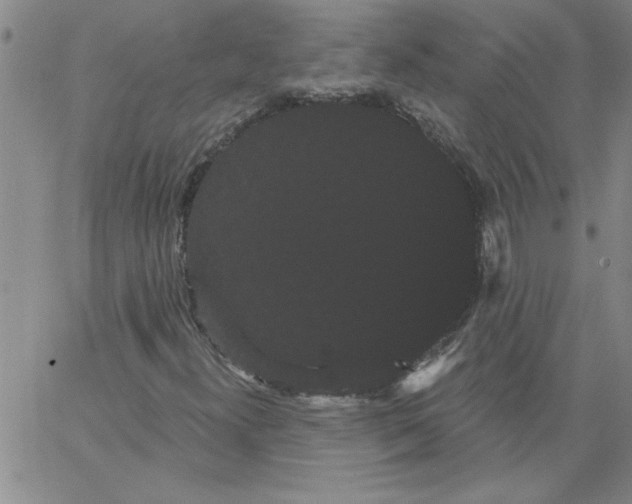 X0000066121300200604071902