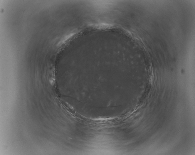 X0000066121301200604071902