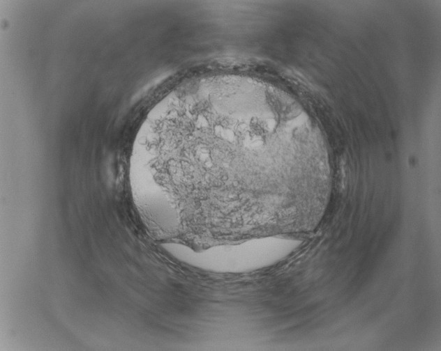 X0000066121302200604071902