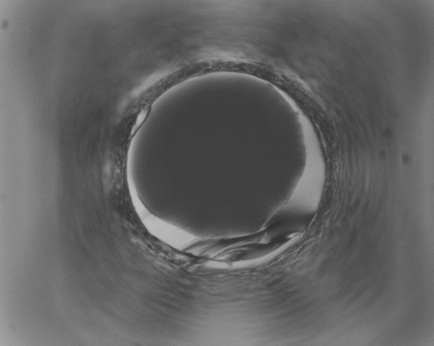 X0000066121303200604071902