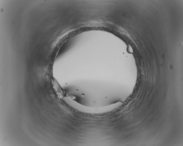 X0000066121304200604071902