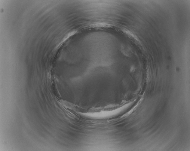 X0000066121305200604071902