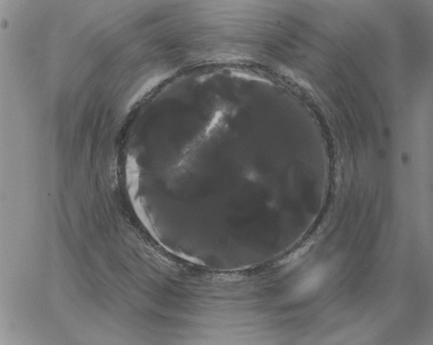 X0000066121306200604071902