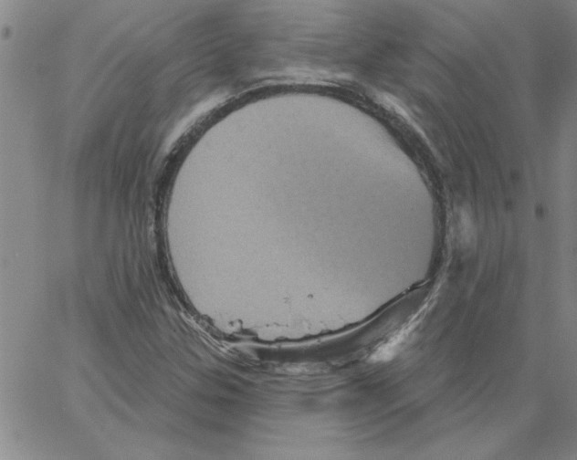 X0000066121307200604071902