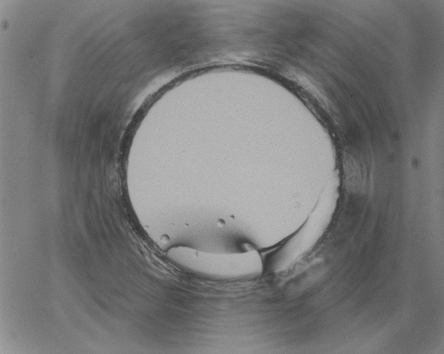 X0000066121308200604071902