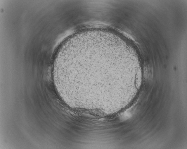 X0000066121309200604071902