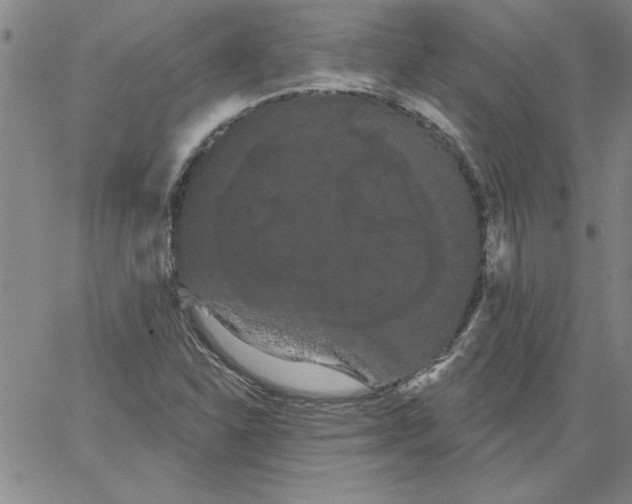 X0000066121310200604071902