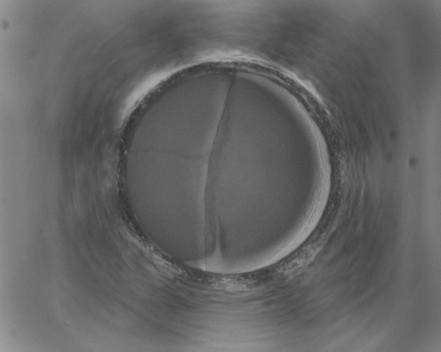 X0000066121311200604071902