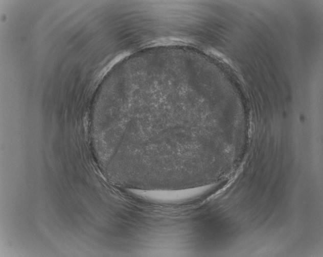 X0000066121313200604071902