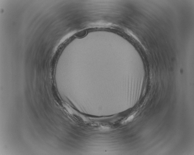 X0000066121315200604071902