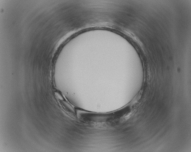 X0000066121316200604071902