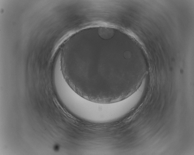 X0000066121318200604071902