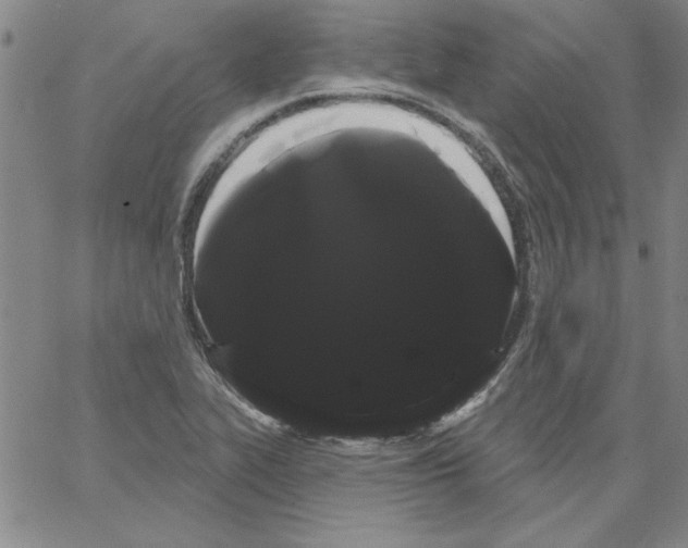 X0000066121319200604071902