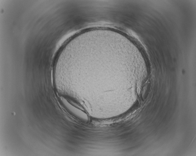 X0000066121320200604071902