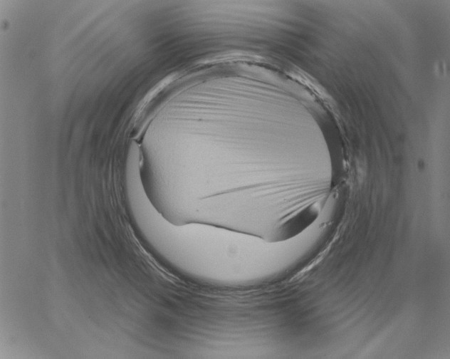 X0000066121321200604071902