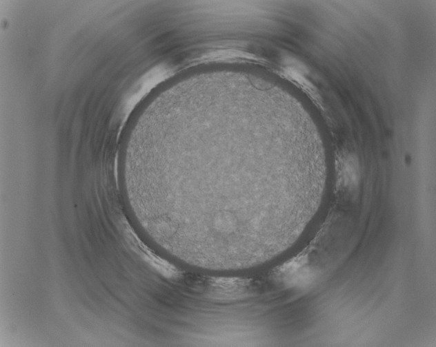 X0000066121322200604071902