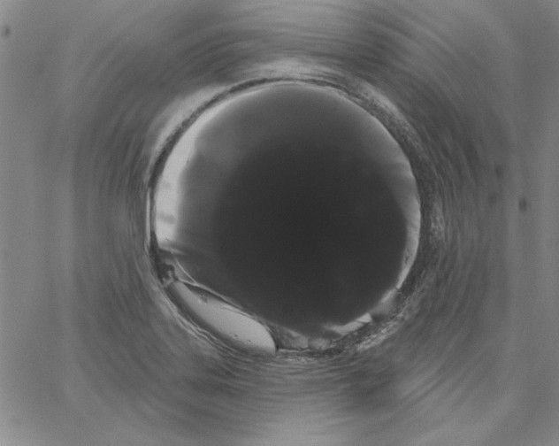 X0000066121323200604071902