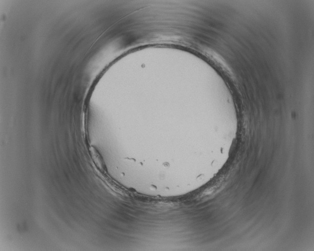 X0000066121324200604071902