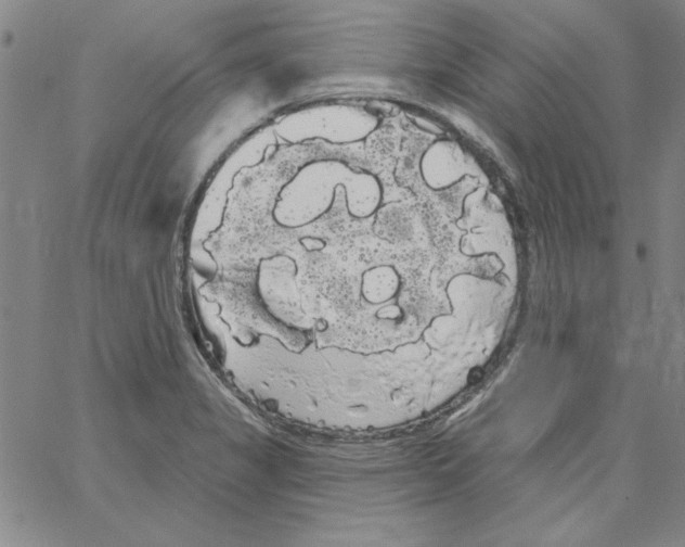 X0000066121325200604071902