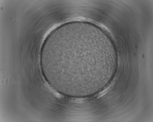 X0000066121326200604071902