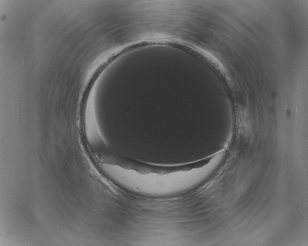 X0000066121327200604071902