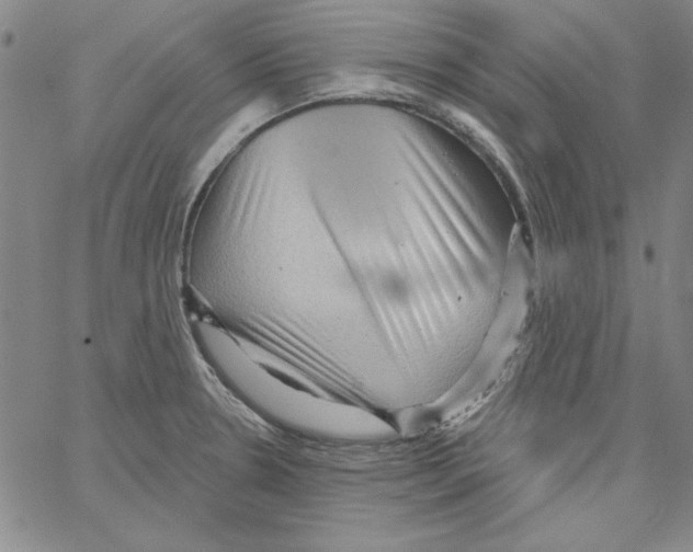 X0000066121330200604071902