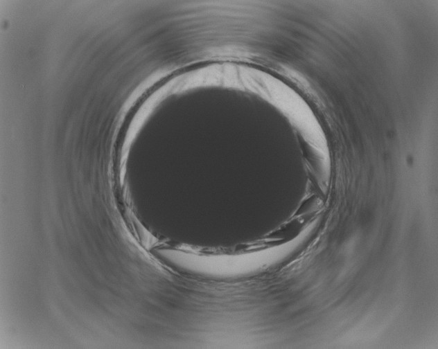 X0000066121331200604071902