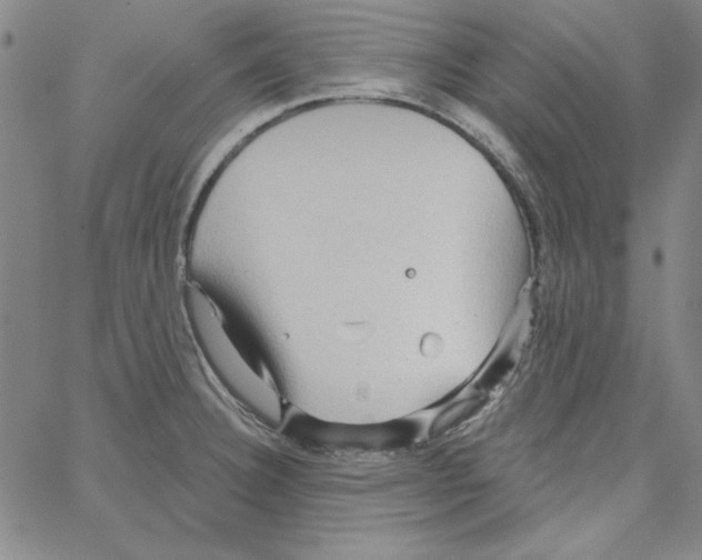 X0000066121332200604071902