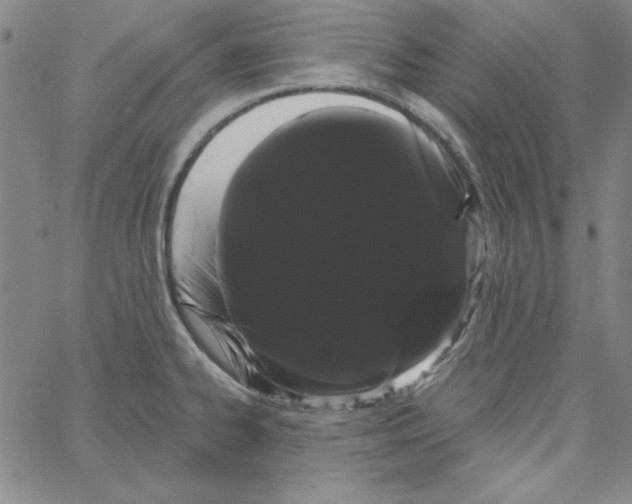 X0000066121334200604071902