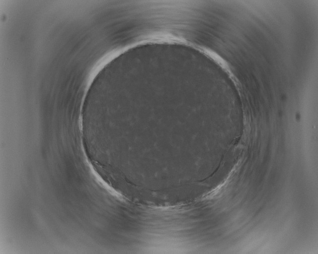 X0000066121335200604071902