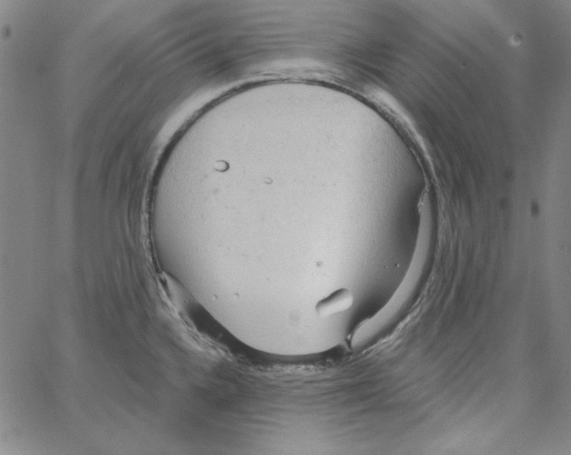 X0000066121336200604071902