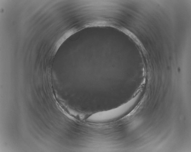 X0000066121337200604071902