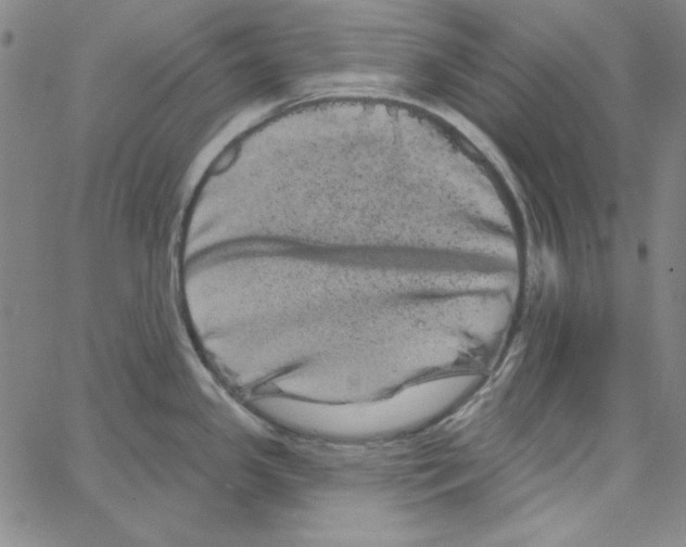 X0000066121341200604071902