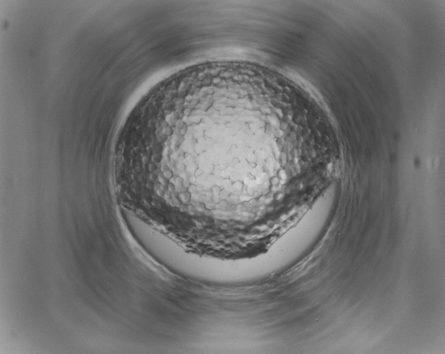 X0000066121342200604071902