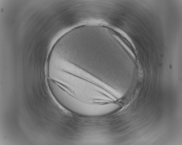 X0000066121343200604071902