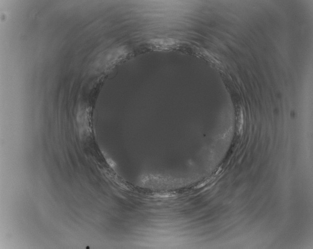 X0000066121346200604071902