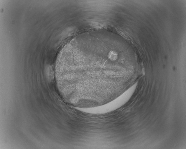 X0000066121347200604071902